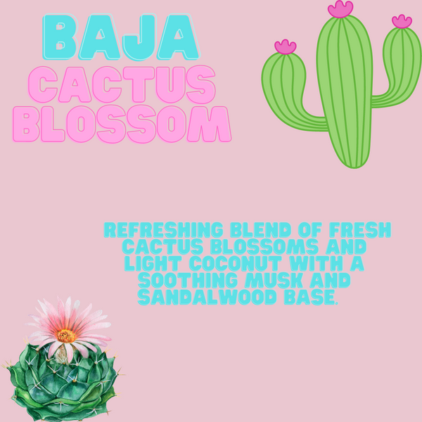 Flor de cactus de Baja California