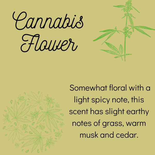 Cannabis Flower
