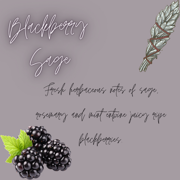 Blackberry Sage