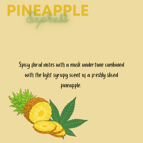 Piña Express