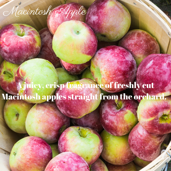 Macintosh Apple